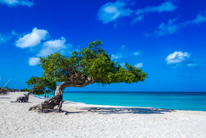 Aruba Highlights Tour